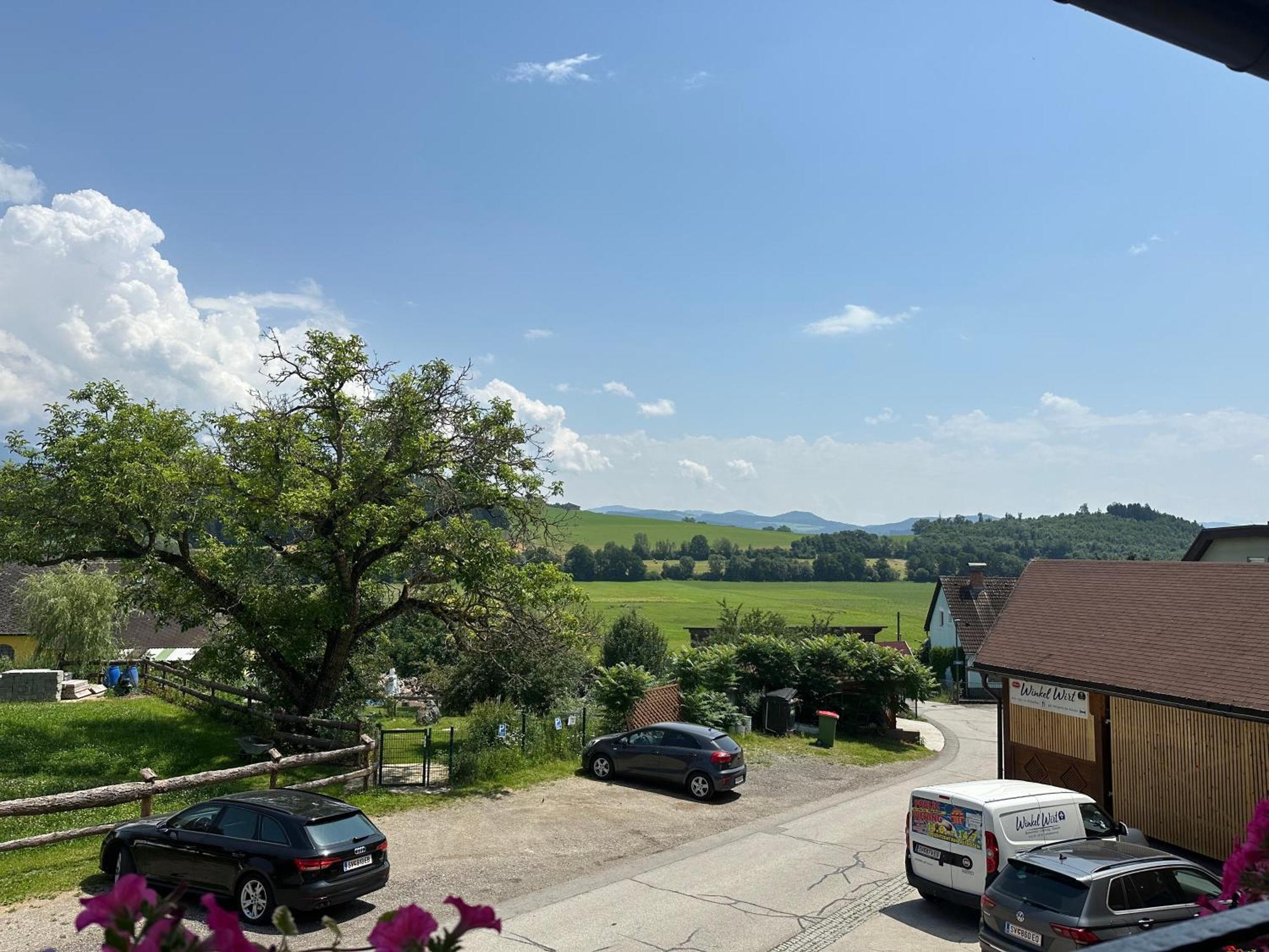 Gasthof Winkelwirt Althofen  Exterior foto
